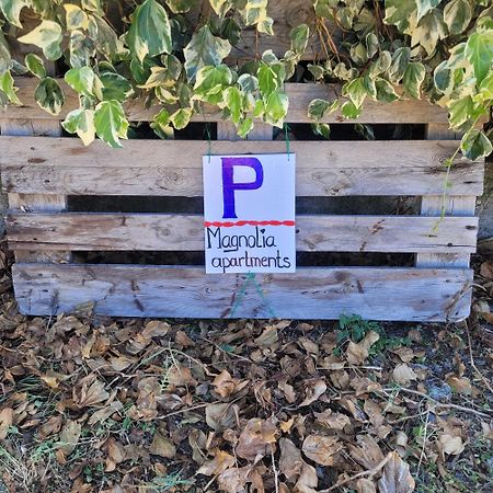 Magnolia Apartments Žaborić Kültér fotó